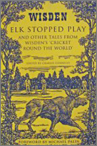 ELK STOPPED PLAY
