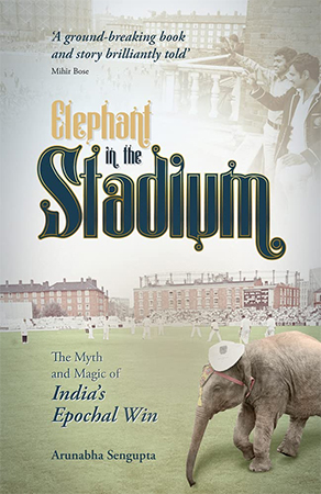Elephant in the Stadium by Arunabha Sengupta