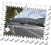 The pedestrian crossing is useful as a reference point but the Montjuic Grand Prix start line would have been in this general area