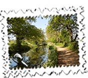 The Grand Western Canal near Tiverton.