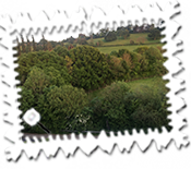The meadows from my room at the Premier Inn Tiverton